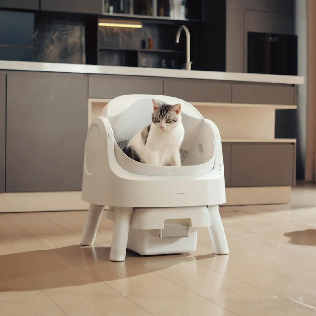 The ZeroScoop™ Auto Litter