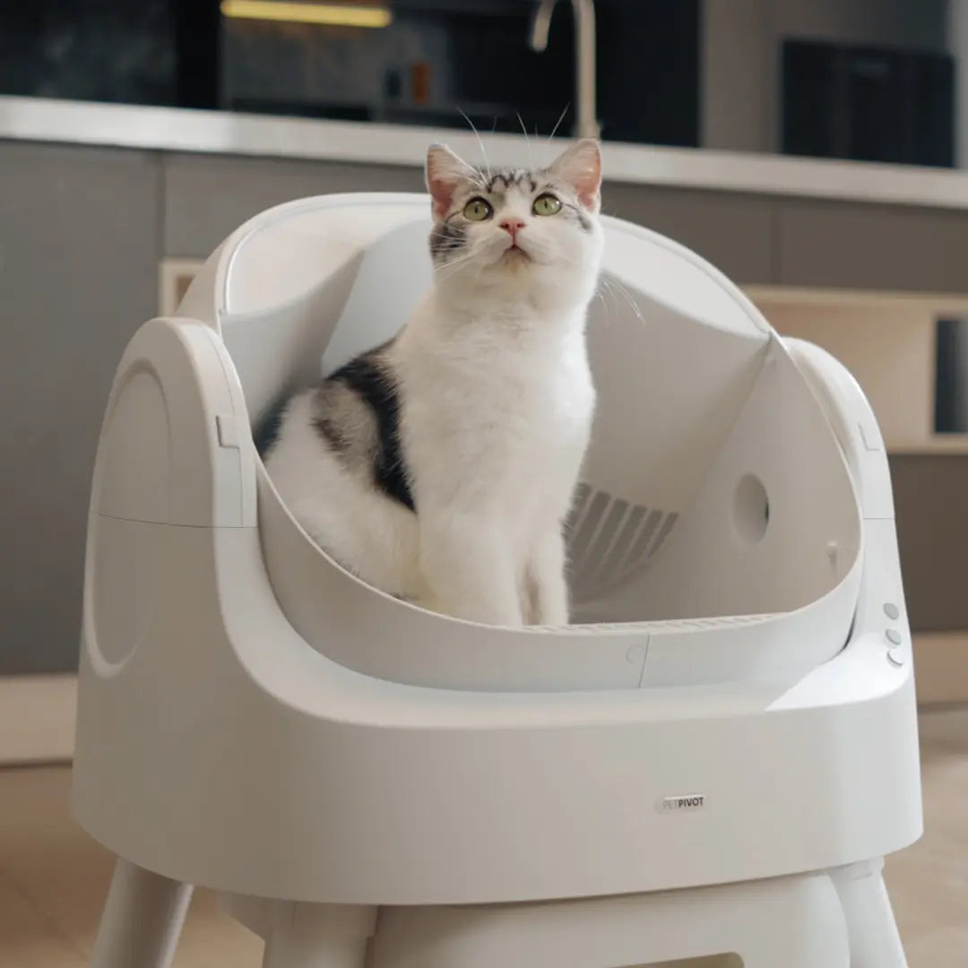 The ZeroScoop™ Auto Litter