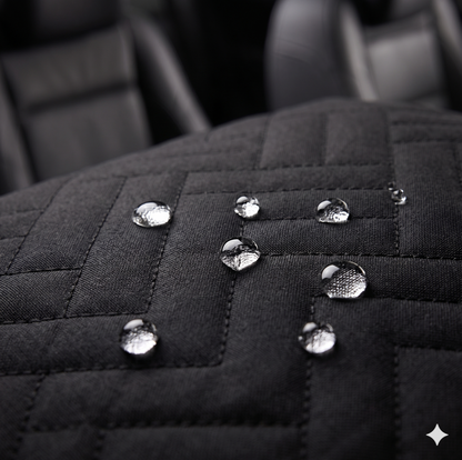 CleanRide Backseat Protector