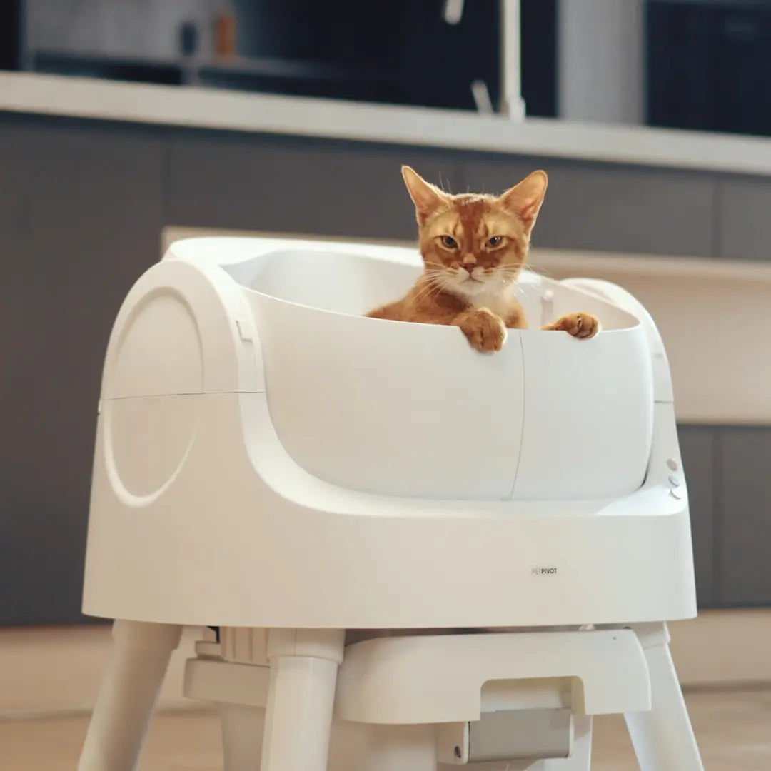 The ZeroScoop™ Auto Litter